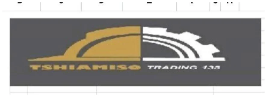 Tshiamiso Trading Enterprises Logo